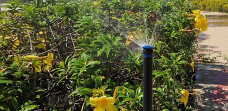 Aspersor funcionando em jardim