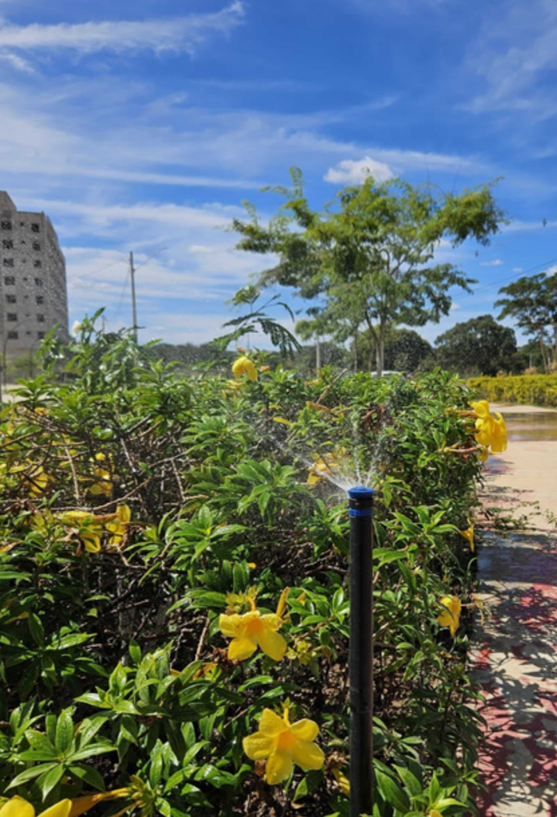 Aspersor funcionando em jardim com flores amarelas